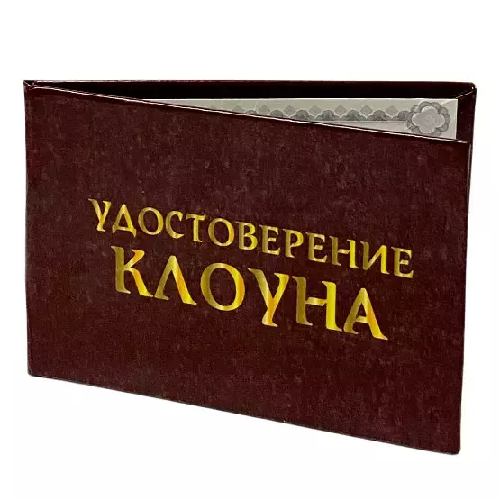 Изображение №5