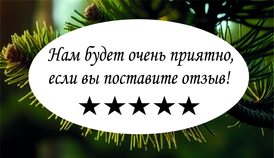 Изображение №1