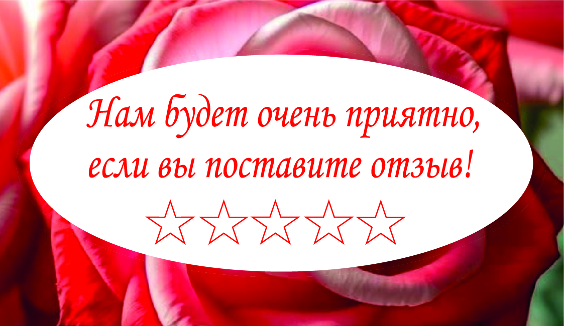 Изображение №1