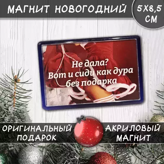 Магнит “Не дала? Вот и сиди как дура без подарка”