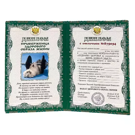 Изображение №1