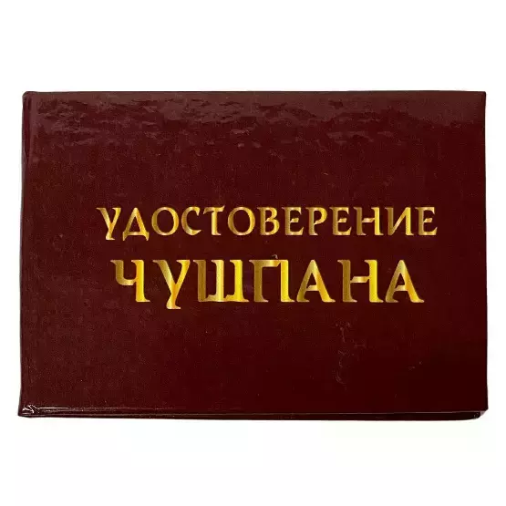 Изображение №1