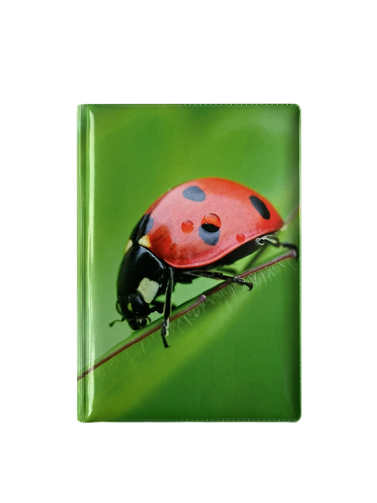 Обложка для паспорта “Божья коровка”