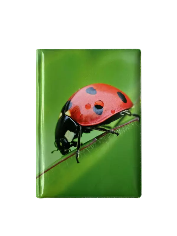 Обложка для паспорта “Божья коровка”