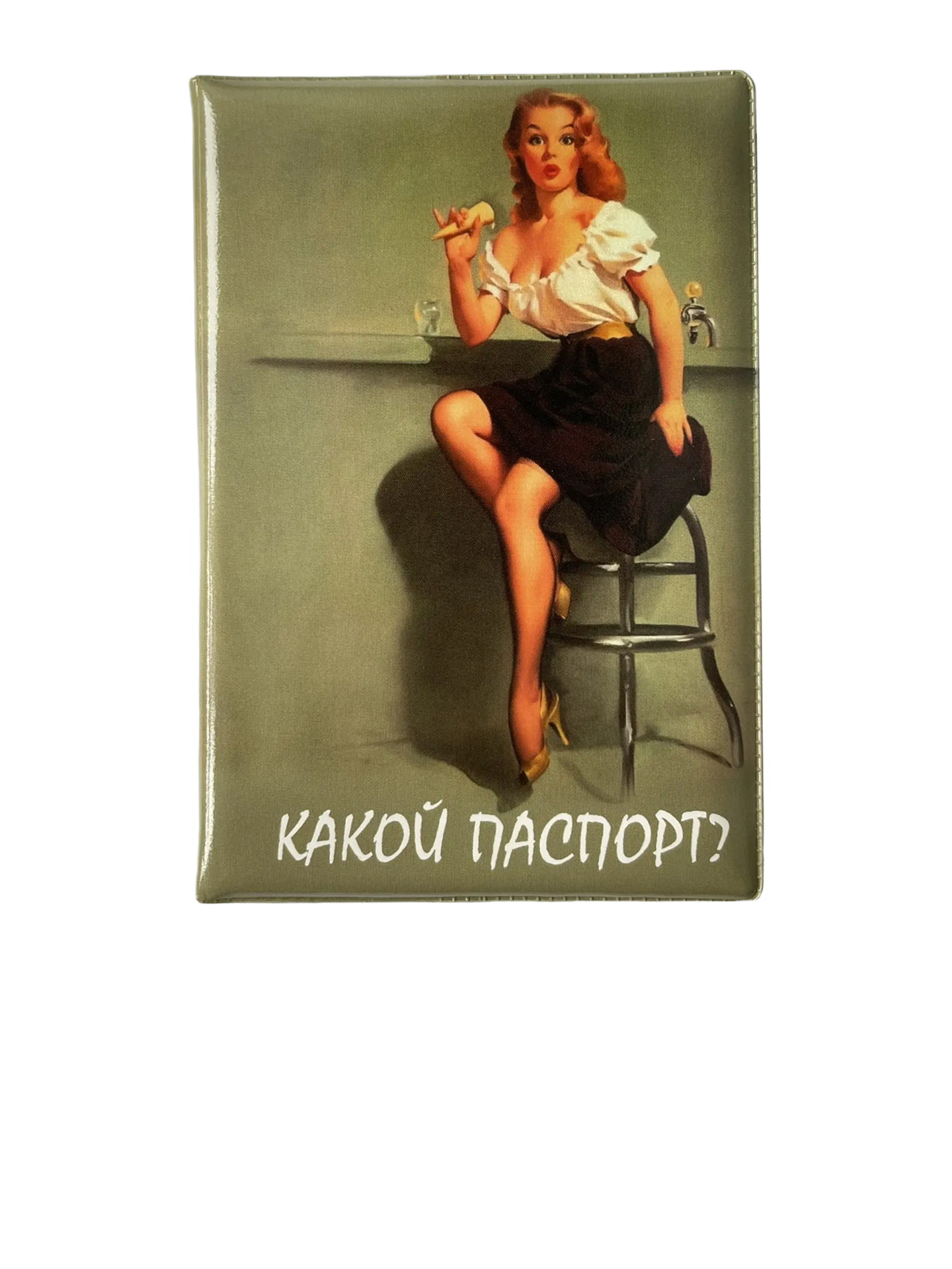 Обложка для паспорта “Какой паспорт?”, фото 1