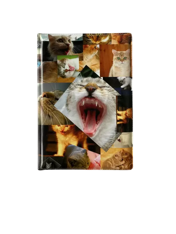 Обложка для паспорта “Фото кошек”