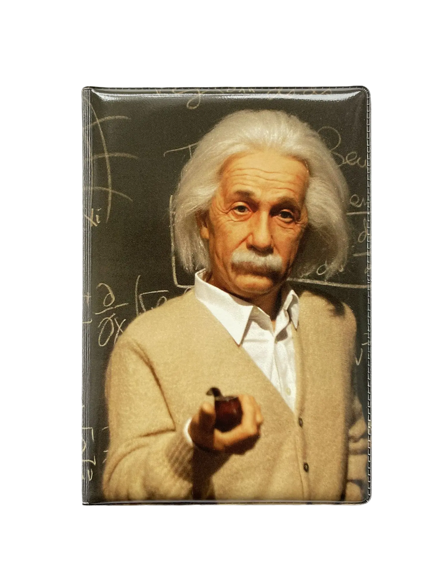 Обложка для паспорта “Эйнштейн”