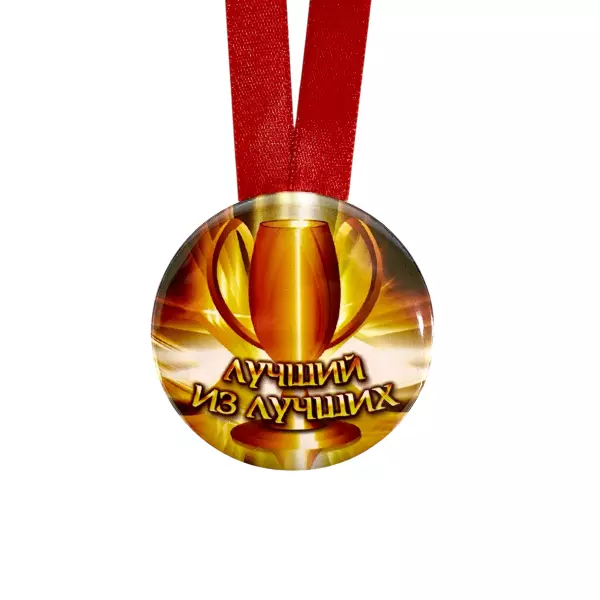 Диплом Лучшего из лучших + Медаль Лучший, фото 5