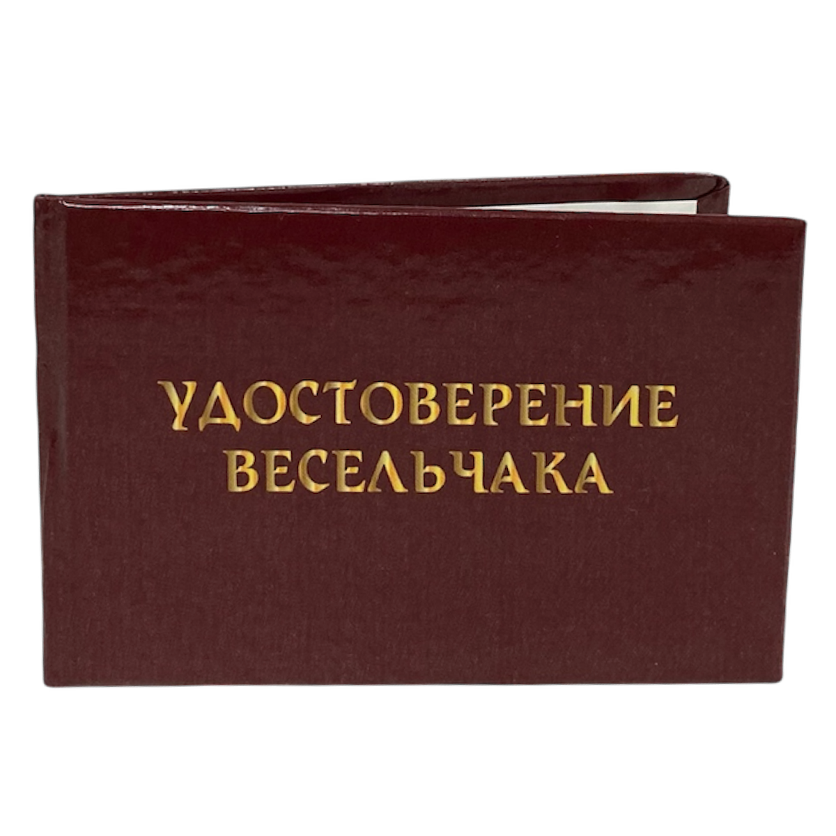 Изображение №3