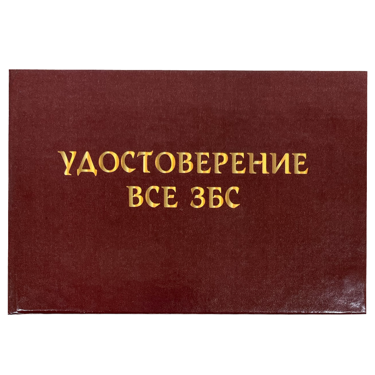 Изображение №1