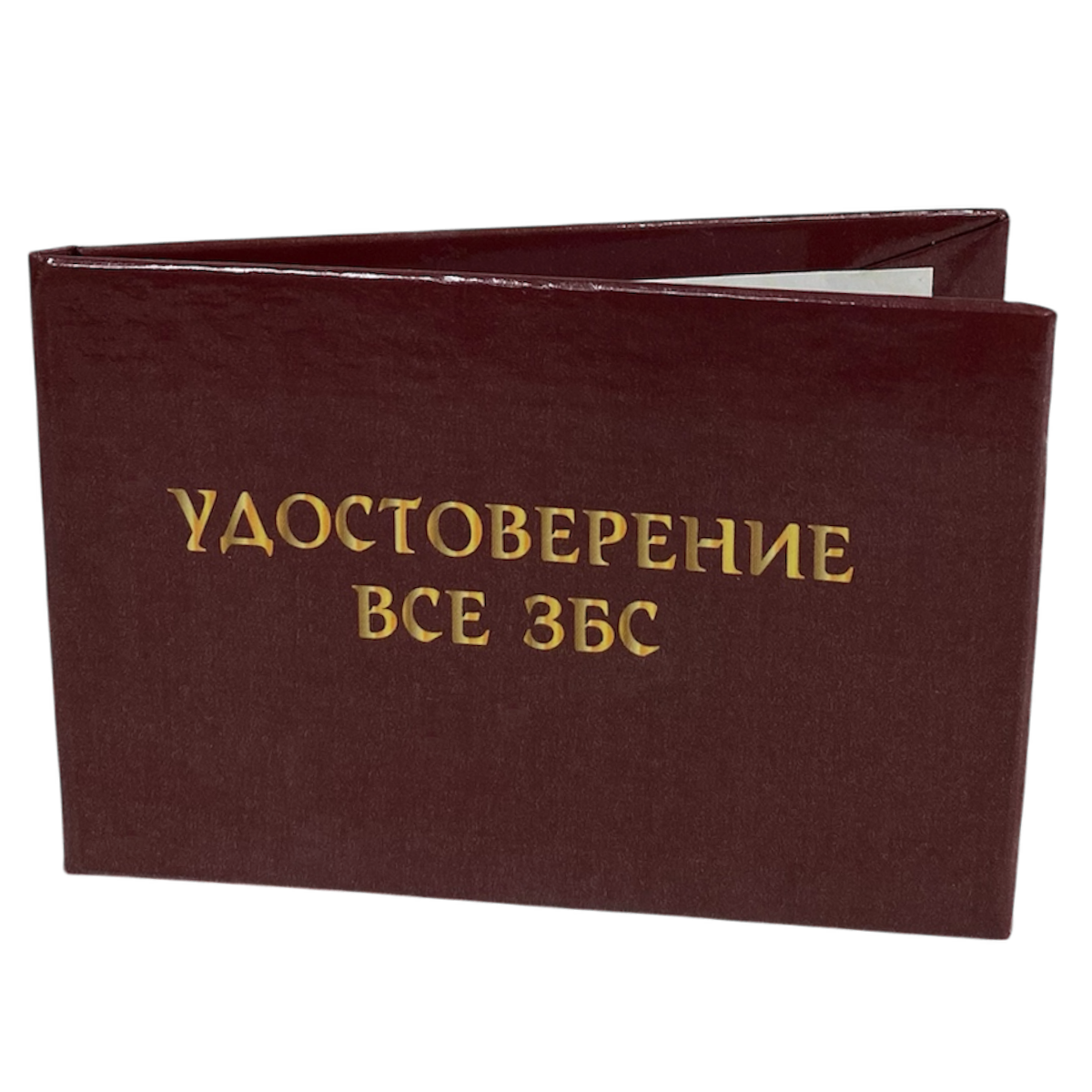 Изображение №3