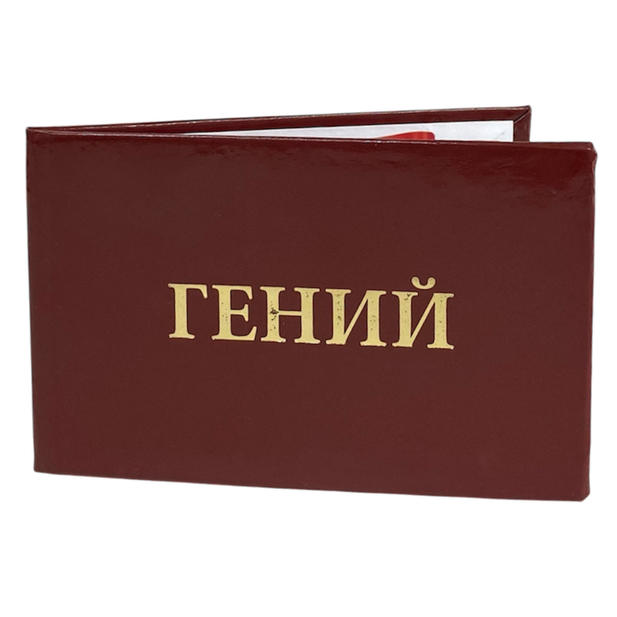 Изображение №3