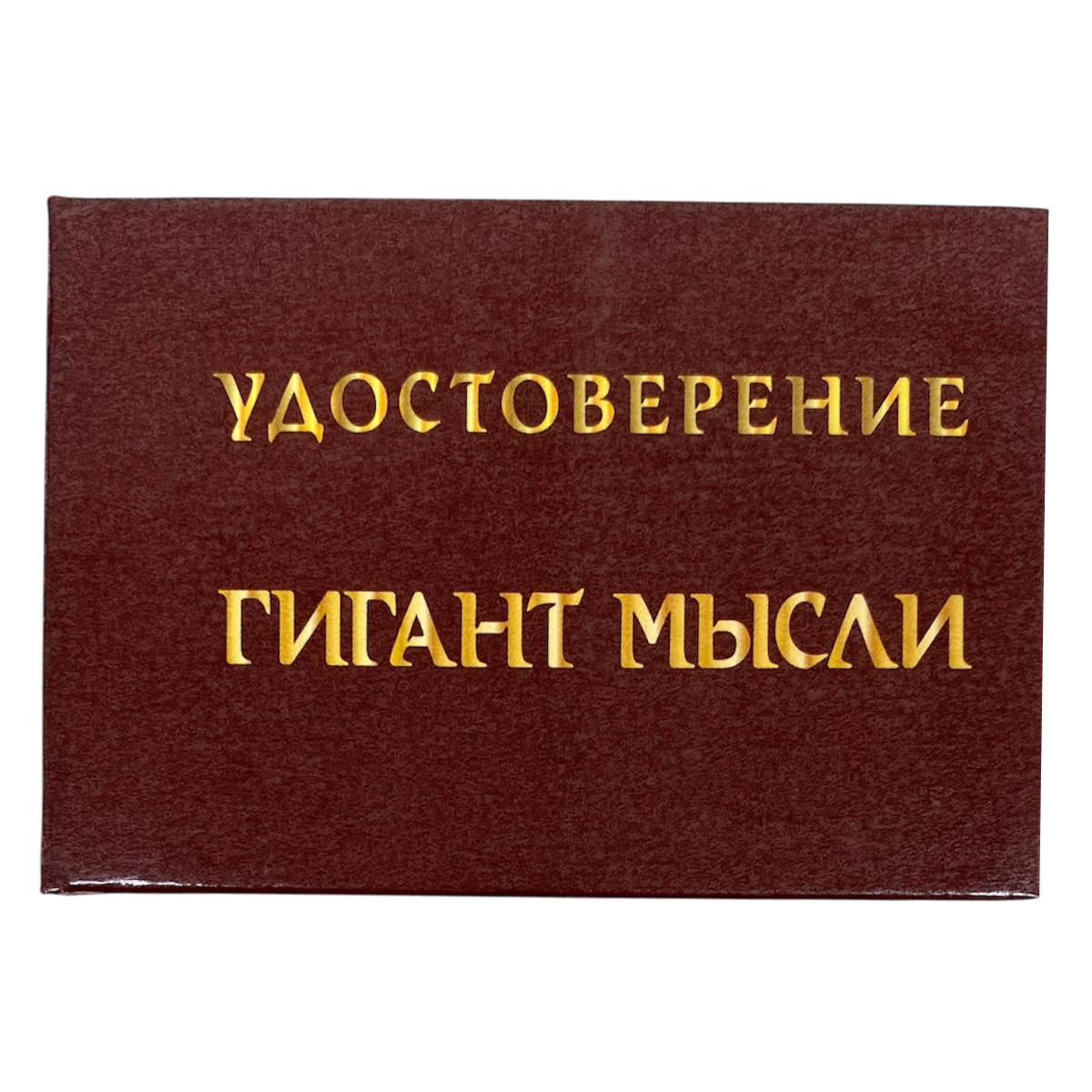 Изображение №1
