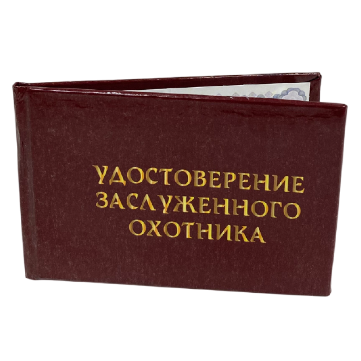 Изображение №3