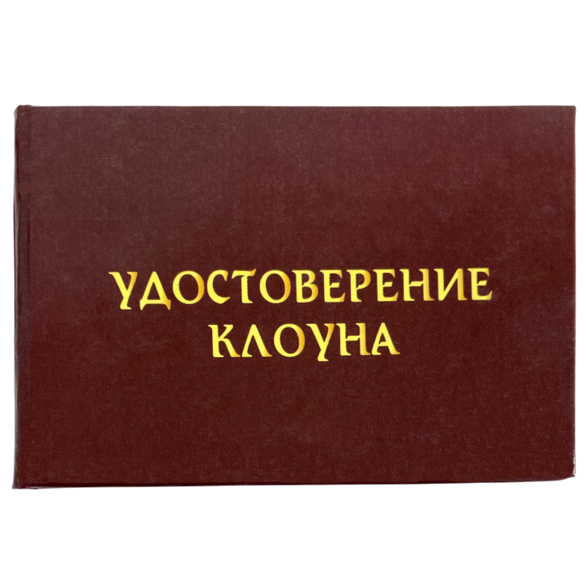 Изображение №1