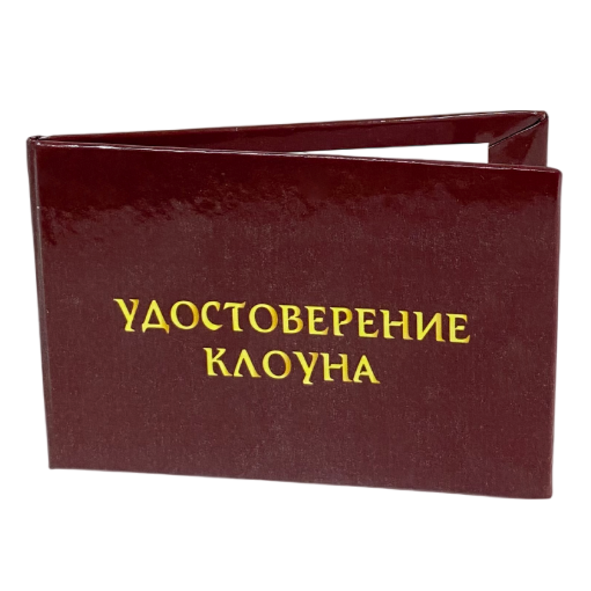 Изображение №3