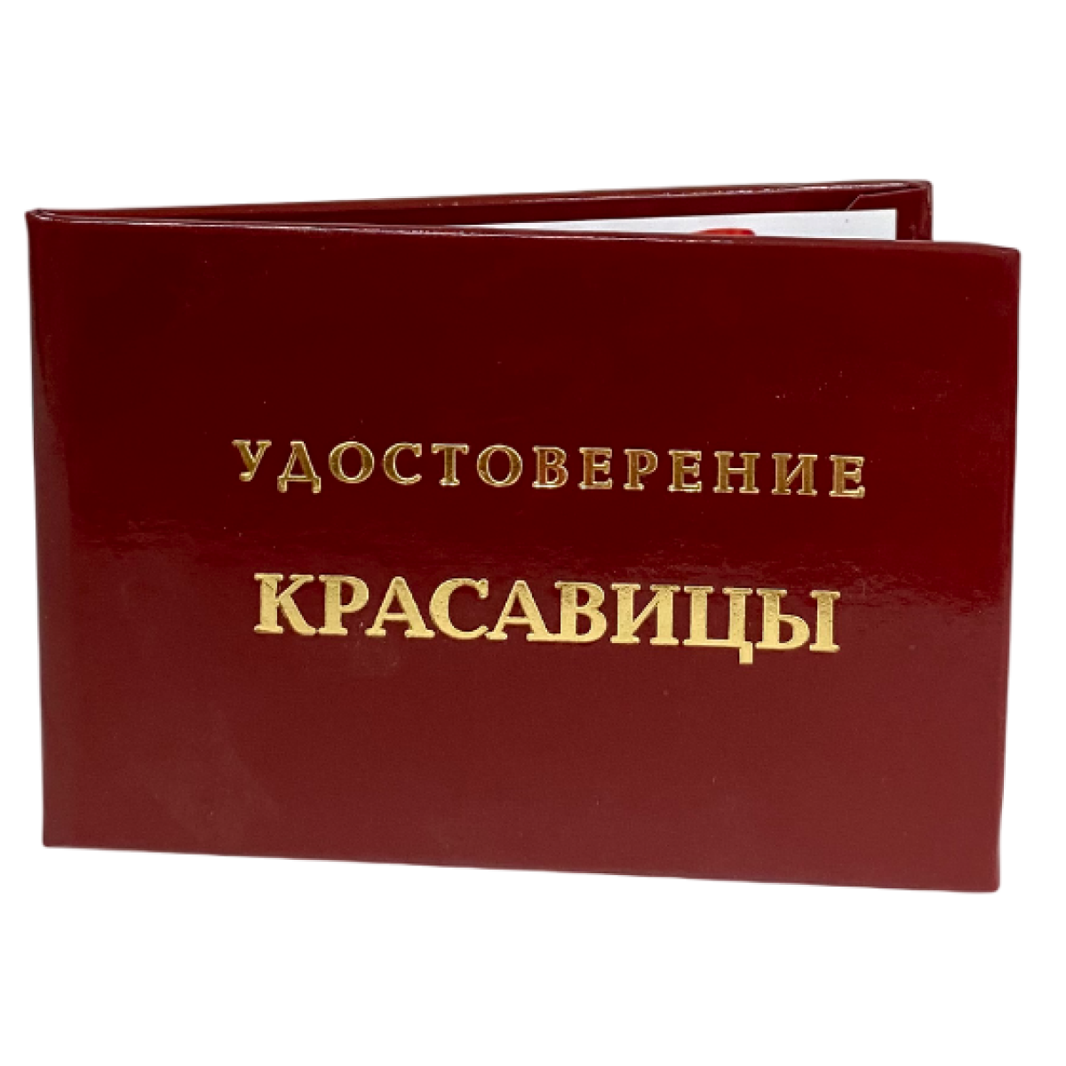 Изображение №3