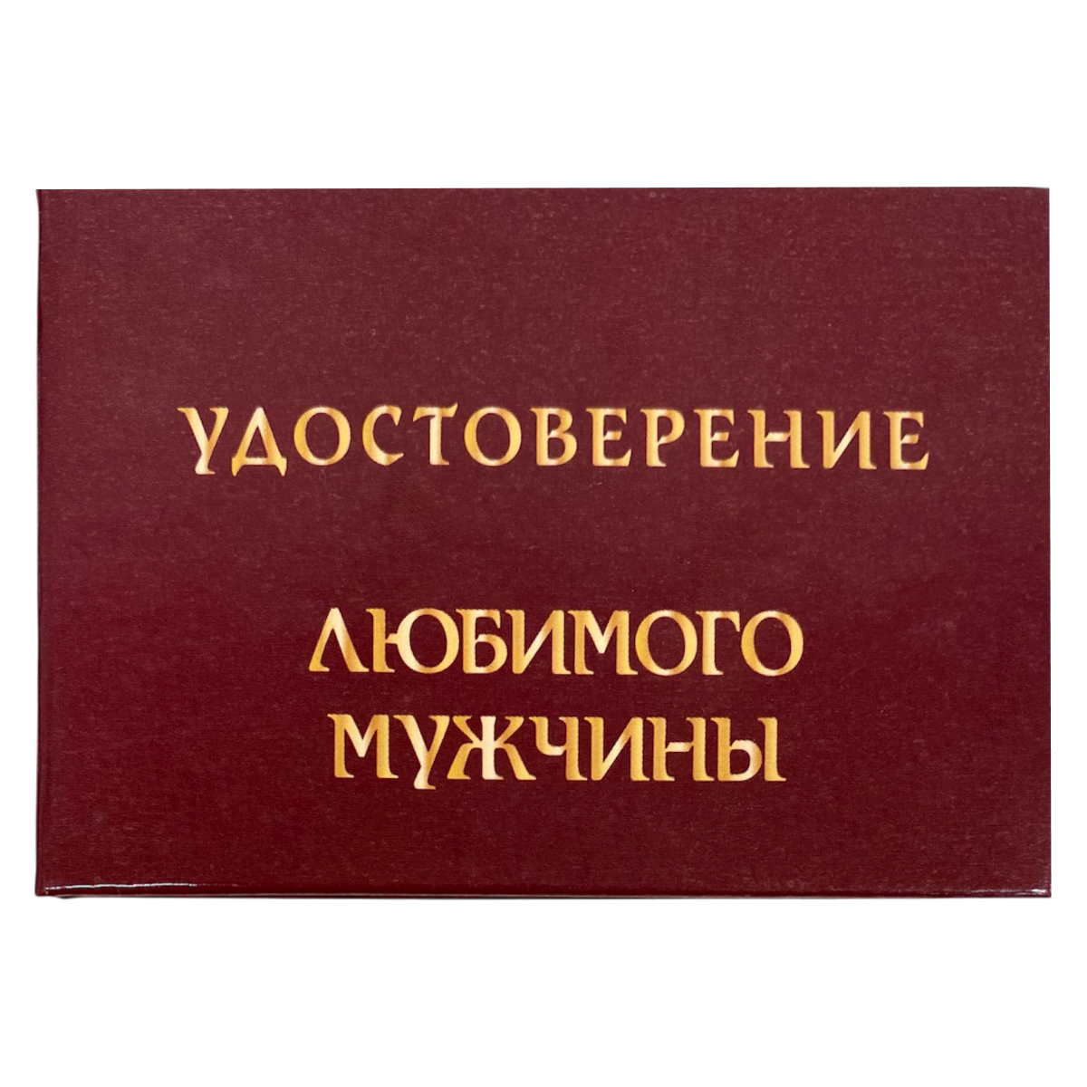 Изображение №1