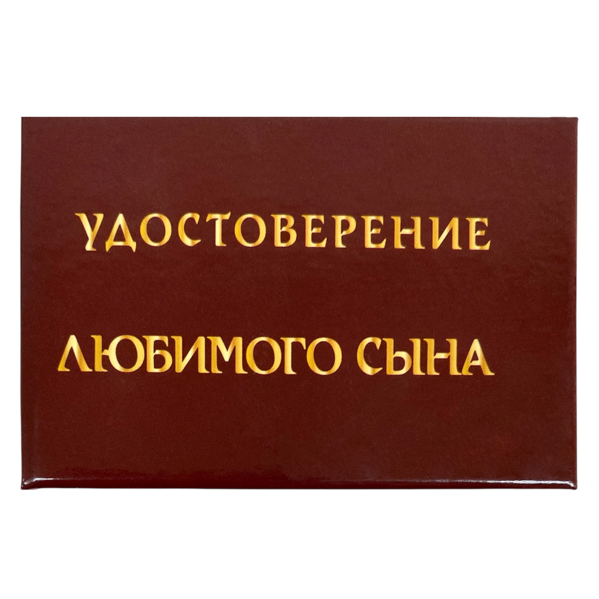 Изображение №1