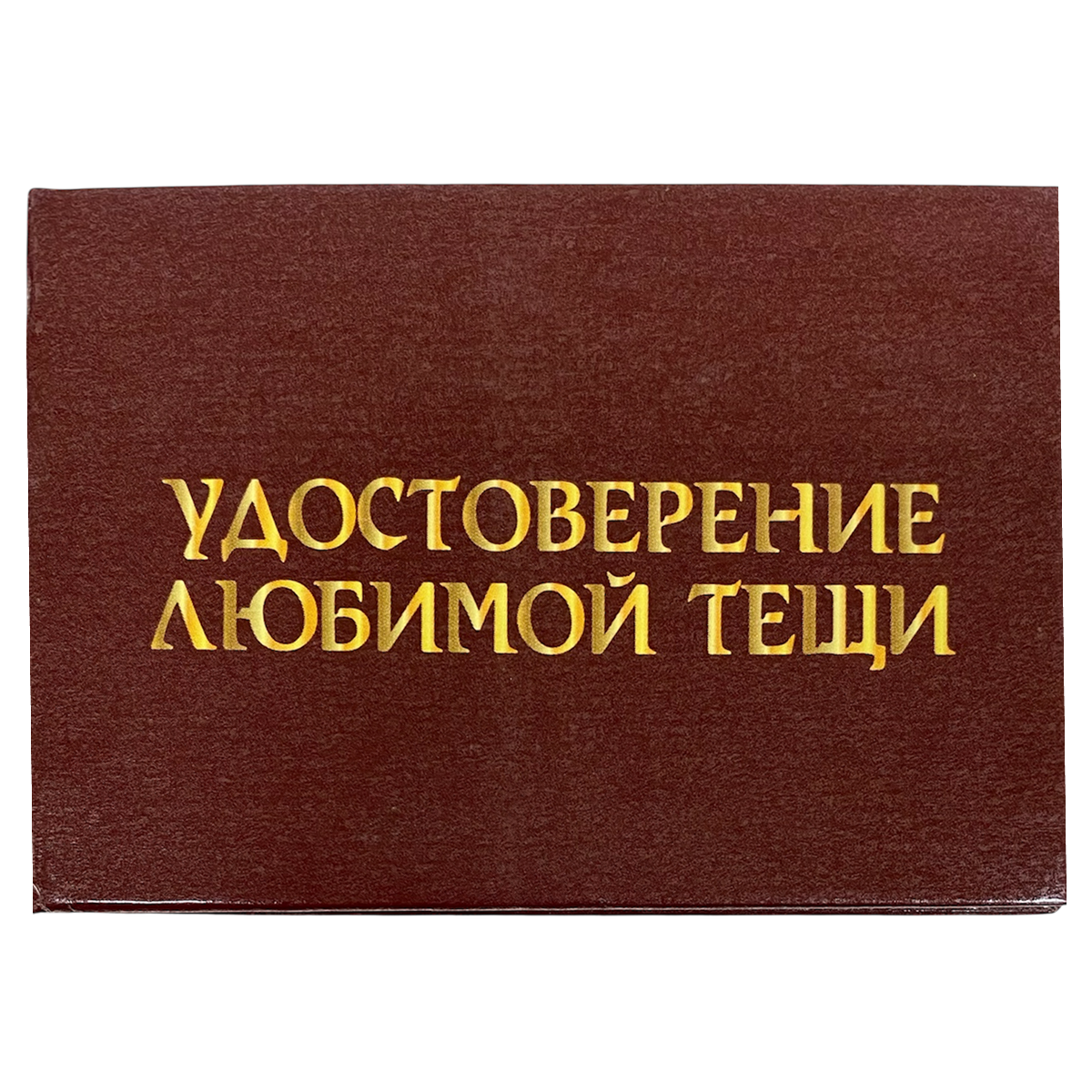 Изображение №1