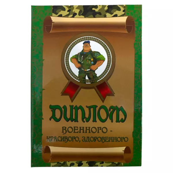Диплом военного красивого, здоровенного + Медаль Верховный главнокомандующий, фото 2