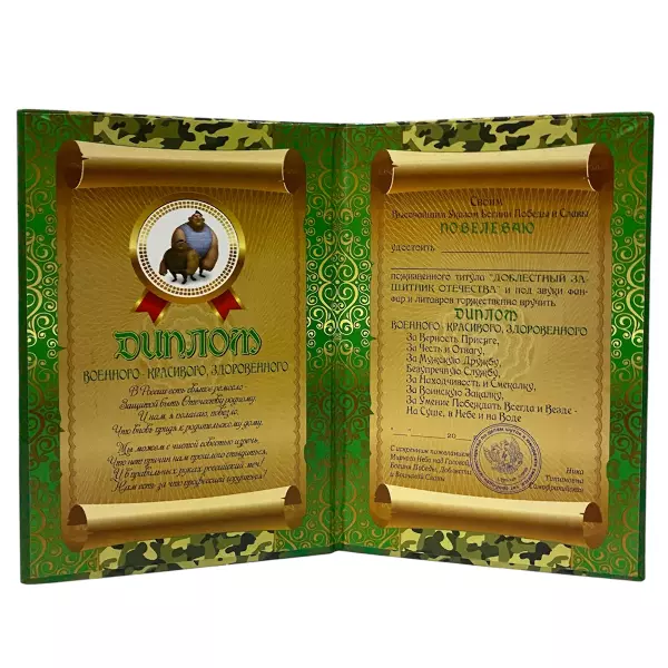 Диплом военного красивого, здоровенного + Медаль Верховный главнокомандующий, фото 3