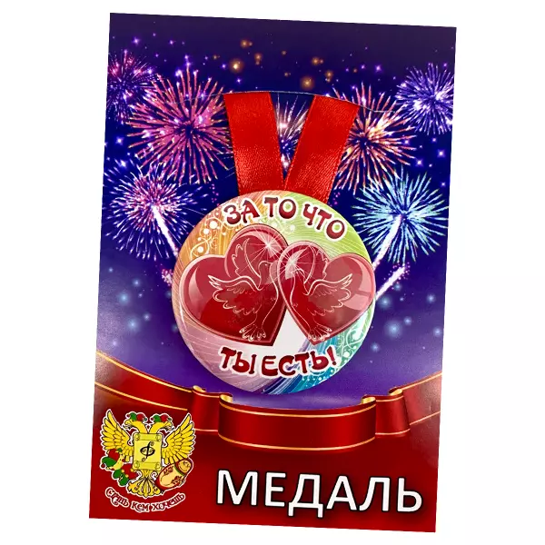 Диплом За то, что ты есть + Медаль За то, что ты есть, фото 6