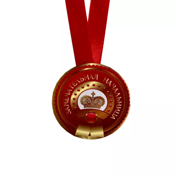 Диплом Выдающейся начальницы + Медаль Замечательная Начальница, фото 5