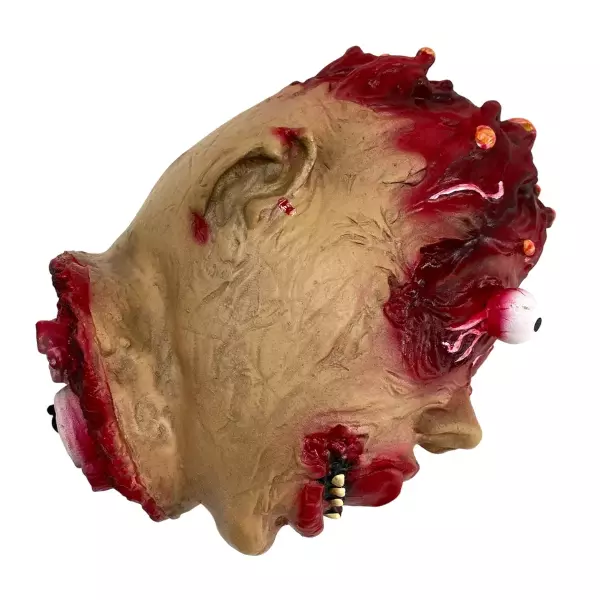 Конечность отрубленная голова ( мозги), фото 3