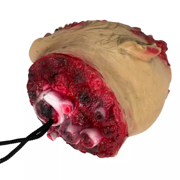 Конечность отрубленная голова ( мозги), фото 4