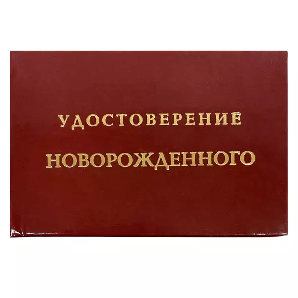 Удостоверение Новорожденного + Медаль За то, что ты есть, фото 2