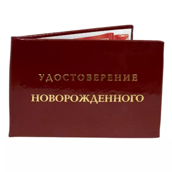 Удостоверение Новорожденного + Медаль За то, что ты есть, фото 4