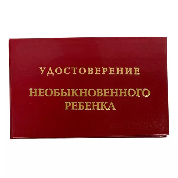 Удостоверение Необыкновенного ребенка + Медаль За покорение сердец, фото 2