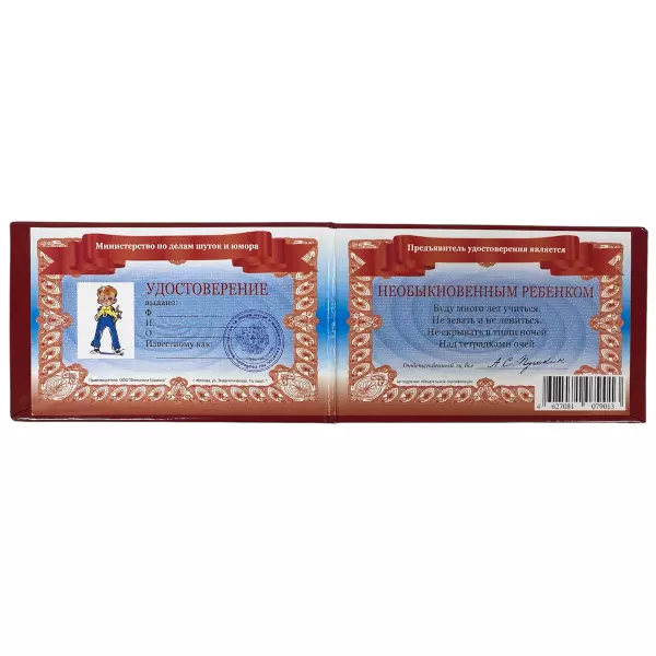 Удостоверение Необыкновенного ребенка + Медаль За покорение сердец, фото 3