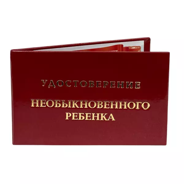 Удостоверение Необыкновенного ребенка + Медаль За покорение сердец, фото 4