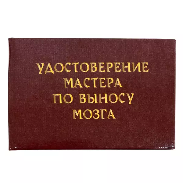Удостоверение Мастера по выносу мозга + Медаль Настоящая женщина, фото 2