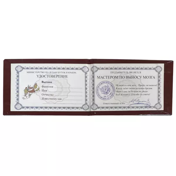 Удостоверение Мастера по выносу мозга + Медаль Настоящая женщина, фото 3
