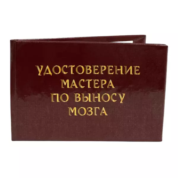 Удостоверение Мастера по выносу мозга + Медаль Настоящая женщина, фото 4