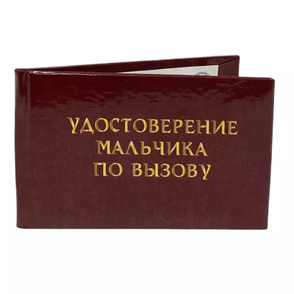 Удостоверение Мальчика по вызову + Медаль Секс академик, фото 4