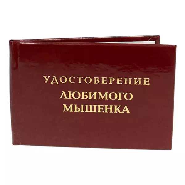 Удостоверение  Любимого мышонка + Медаль Любимой женщине, фото 4