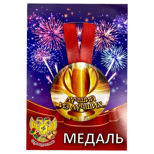 Удостоверение  Лучшего из лучших + Медаль Лучший из лучших, фото 5