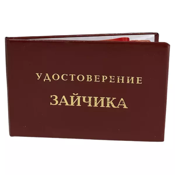 Удостоверение Зайчика + Медаль Хороший человек, фото 4