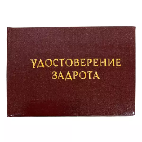 Удостоверение Задрота + Медаль Компьютерному гению, фото 2