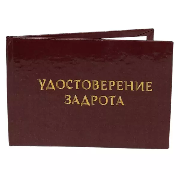Удостоверение Задрота + Медаль Компьютерному гению, фото 4