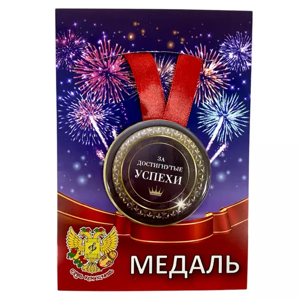 Удостоверение Героя + Медаль За достигнутые успехи, фото 5