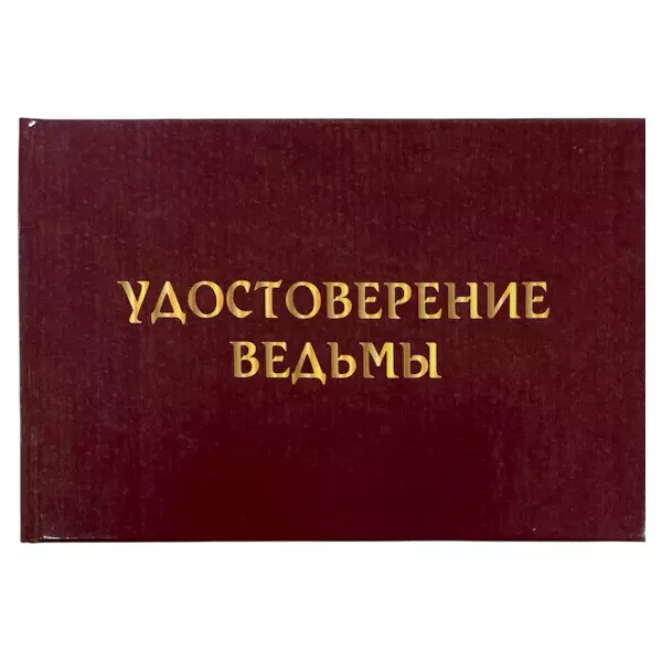 Удостоверение  Ведьмы + Медаль За креативное мышление, фото 2