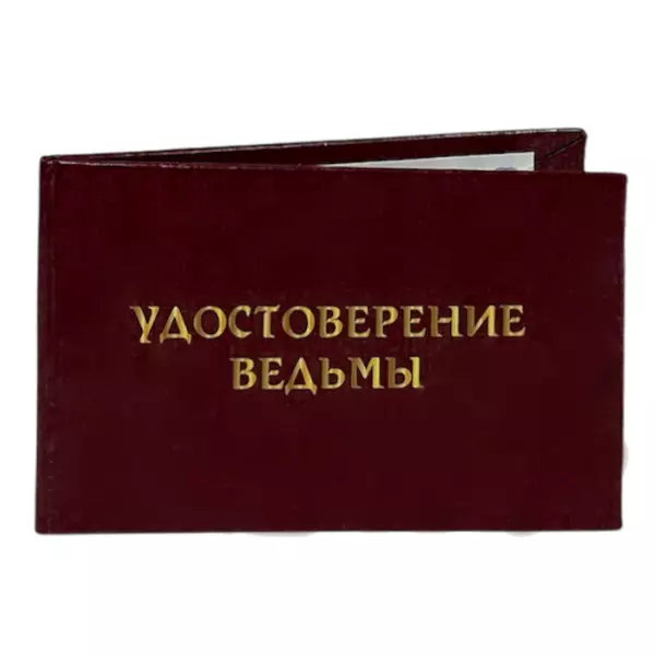 Удостоверение  Ведьмы + Медаль За креативное мышление, фото 4