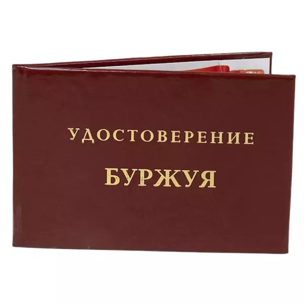 Удостоверение  Буржуя + Медаль Кандидат в мультимиллионеры, фото 4