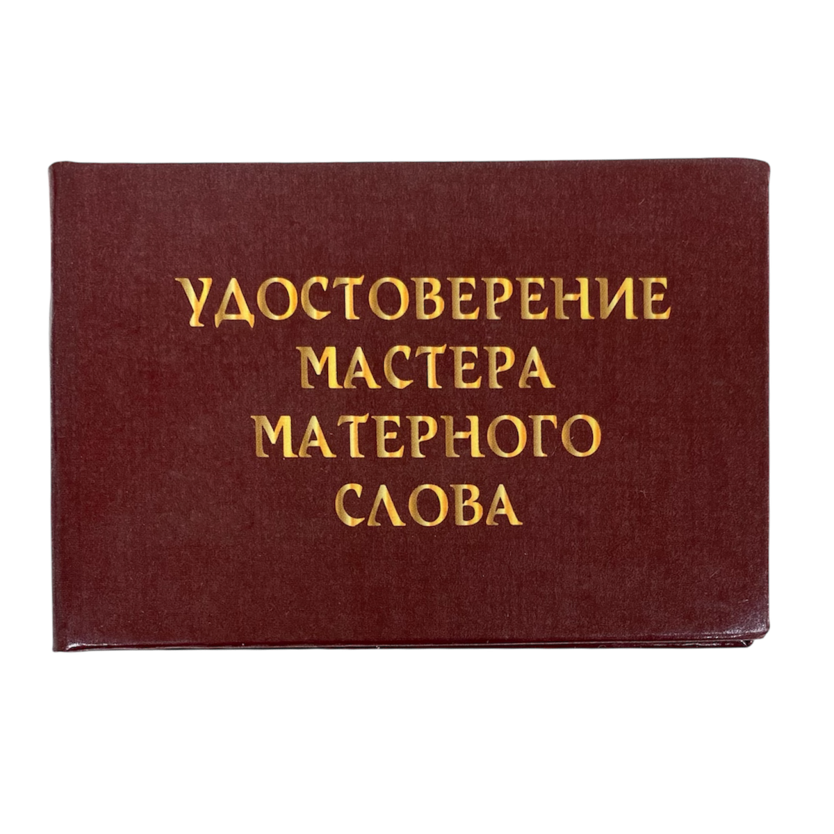 Изображение №1