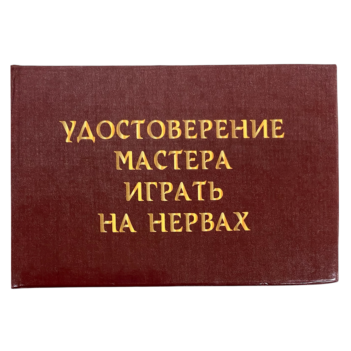 Изображение №1